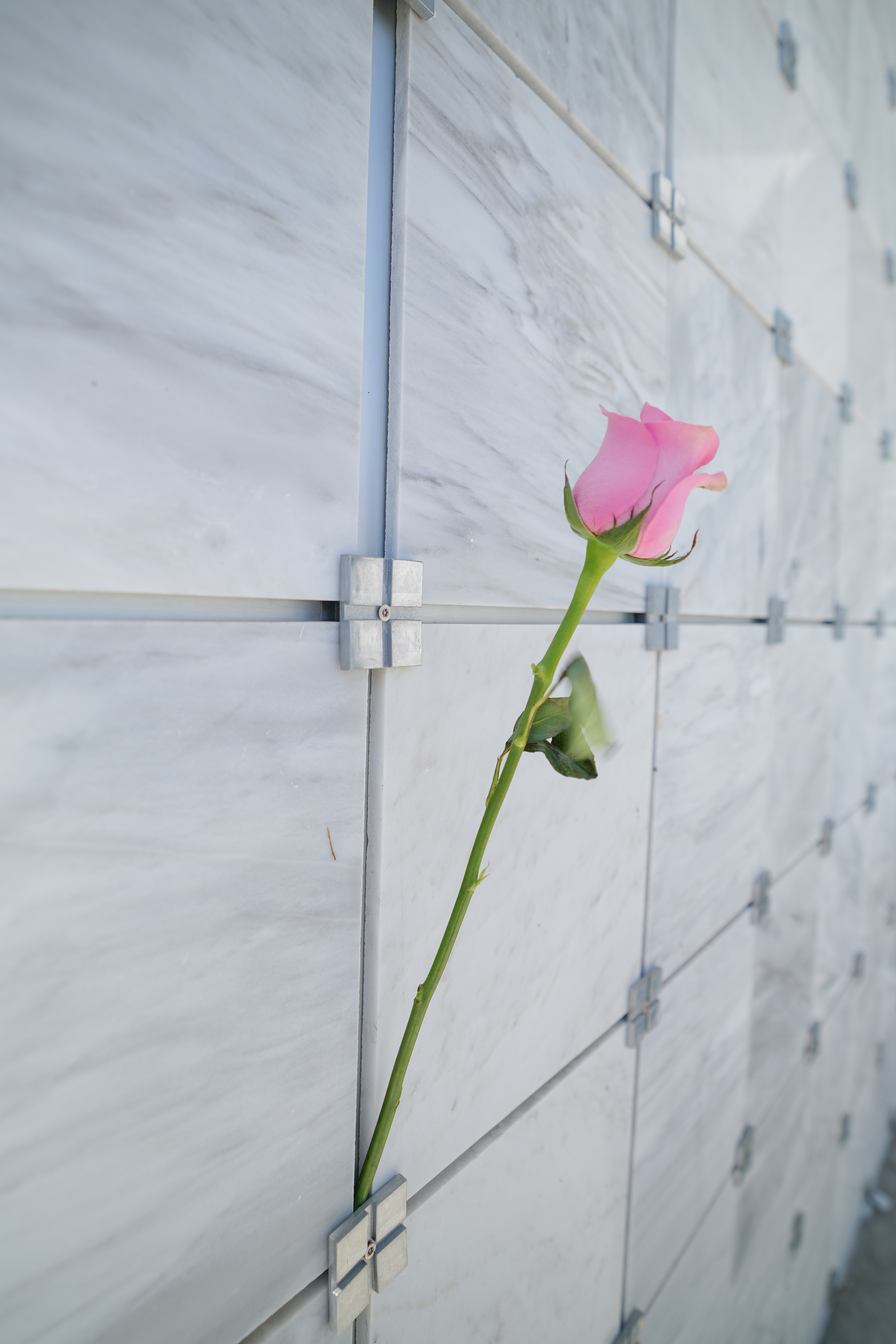 Acompañamiento Familiar