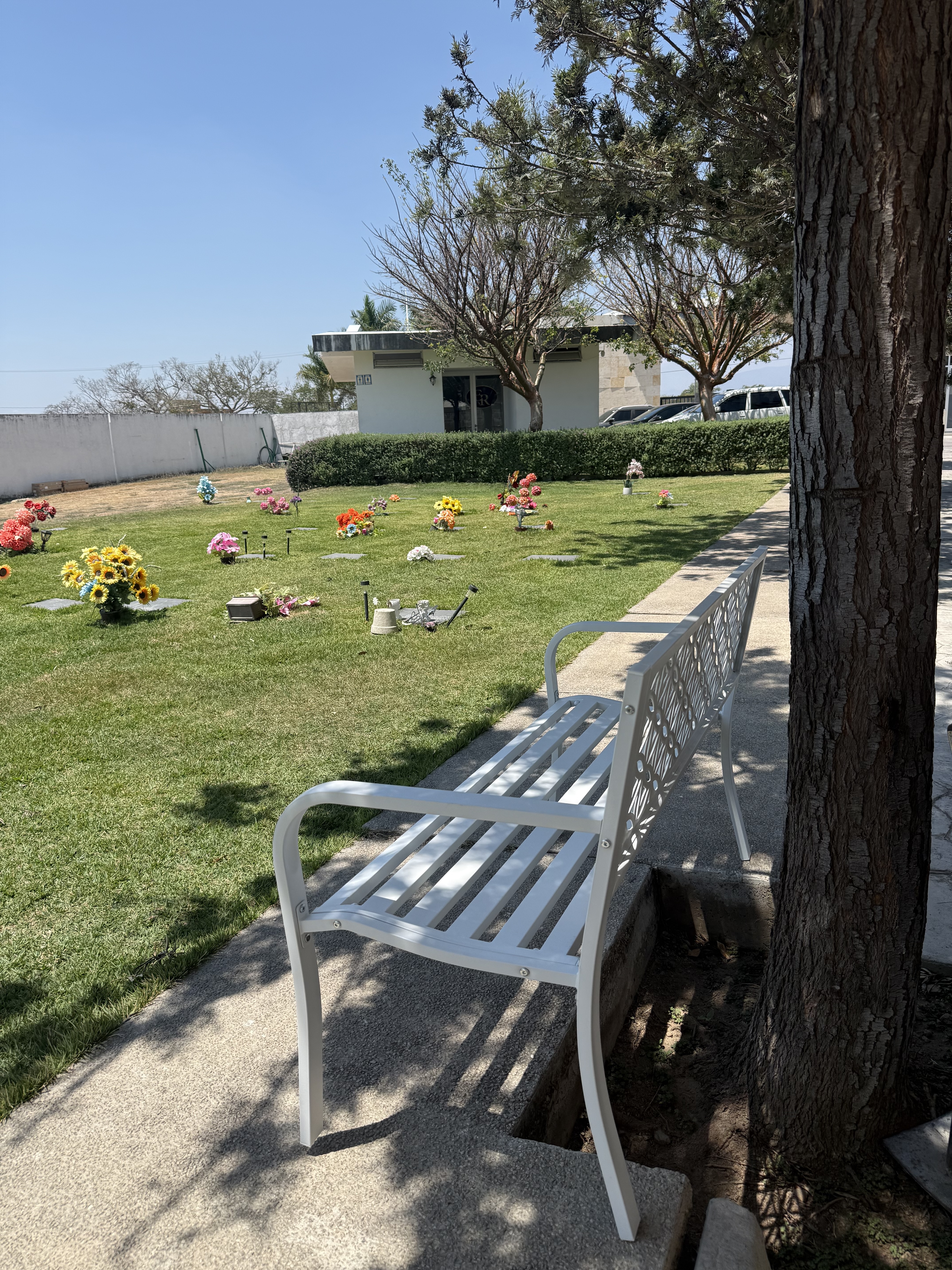 Acompañamiento Familiar